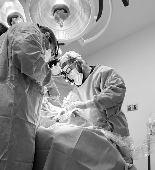 The multidisciplinary dental - medical approach.